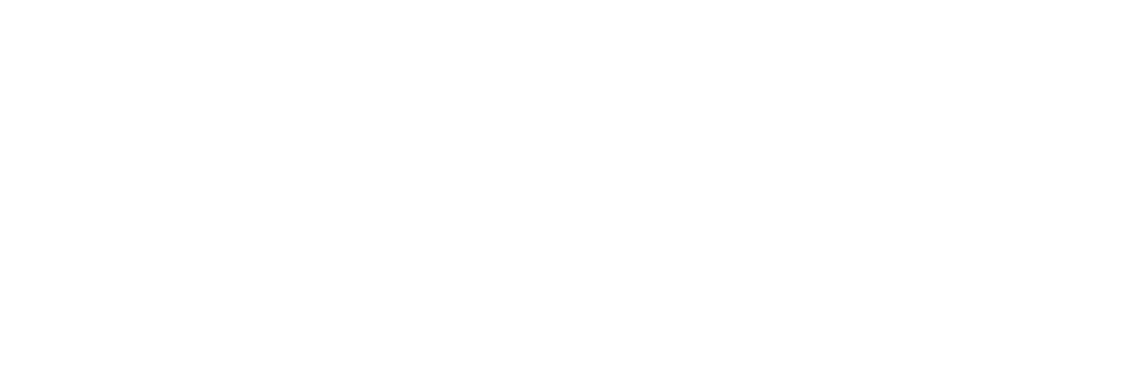 Spence & Hill Security Management GmbH